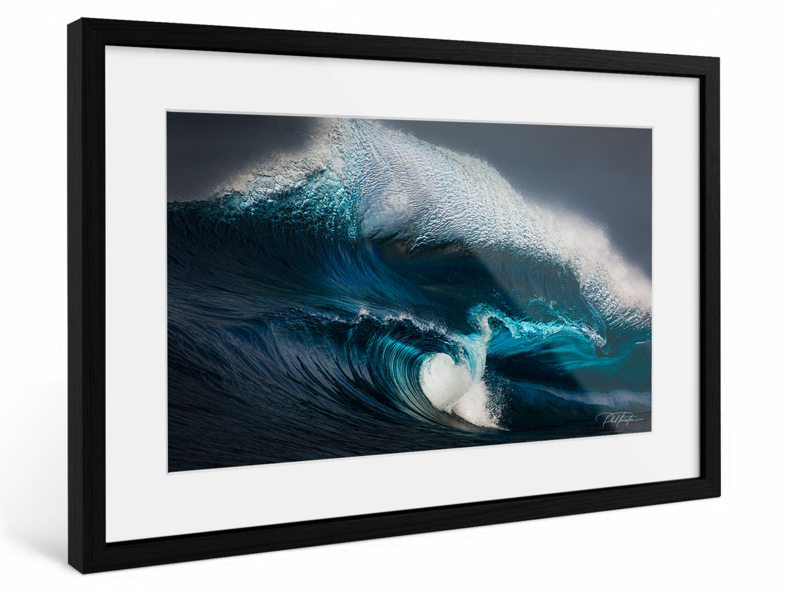 "Sirius" - Fine Art Print