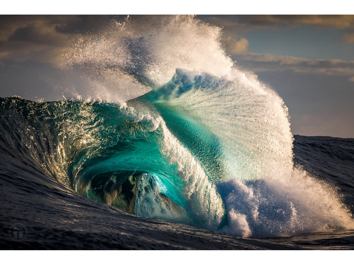 "Devotion" - Fine Art Print