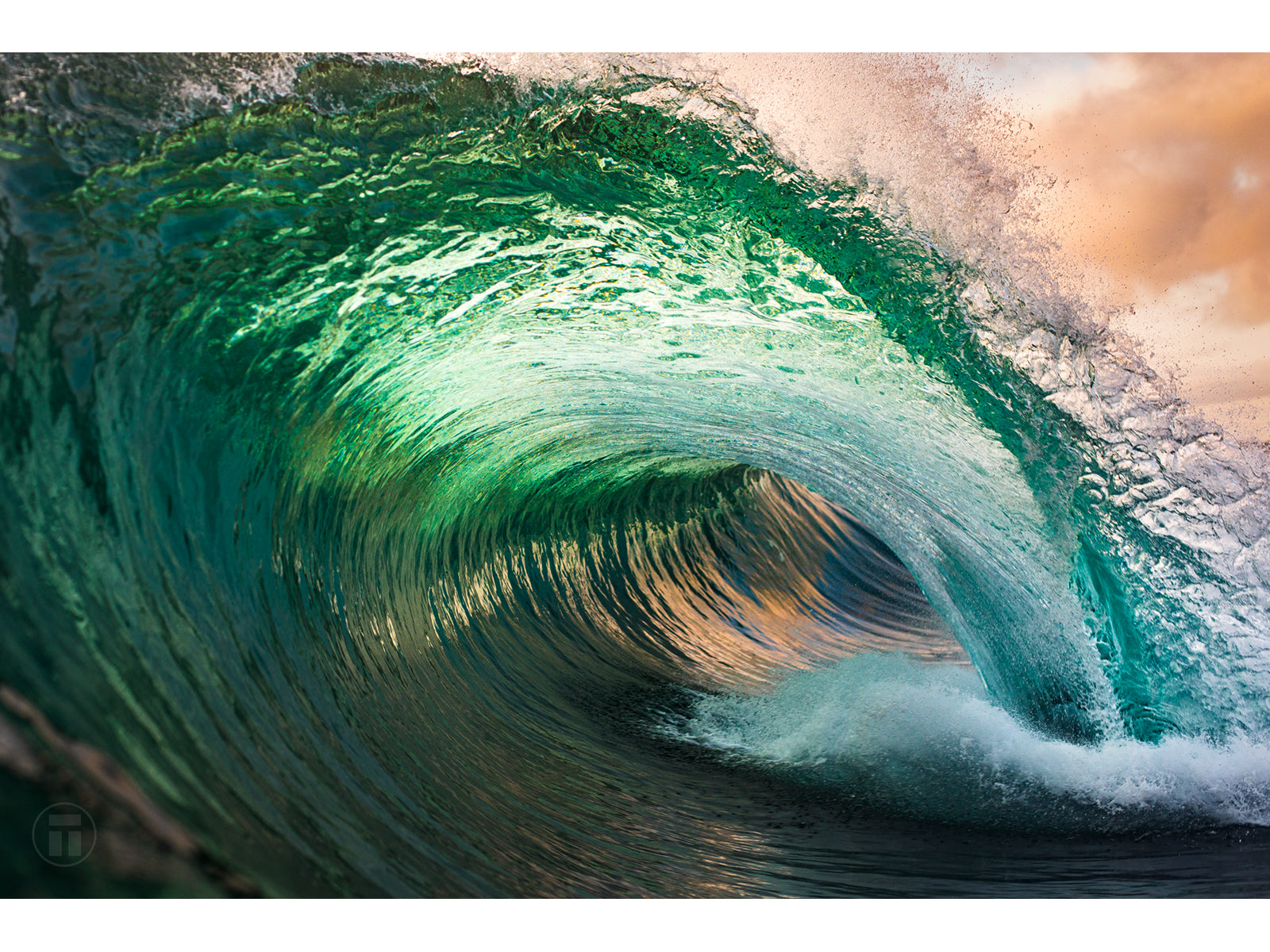 "Valiant" - Fine Art Print