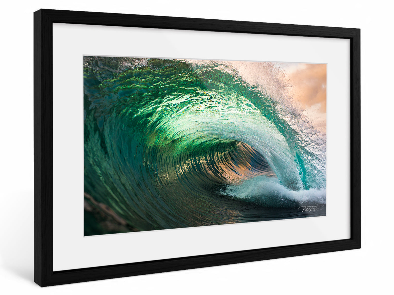 "Valiant" - Fine Art Print
