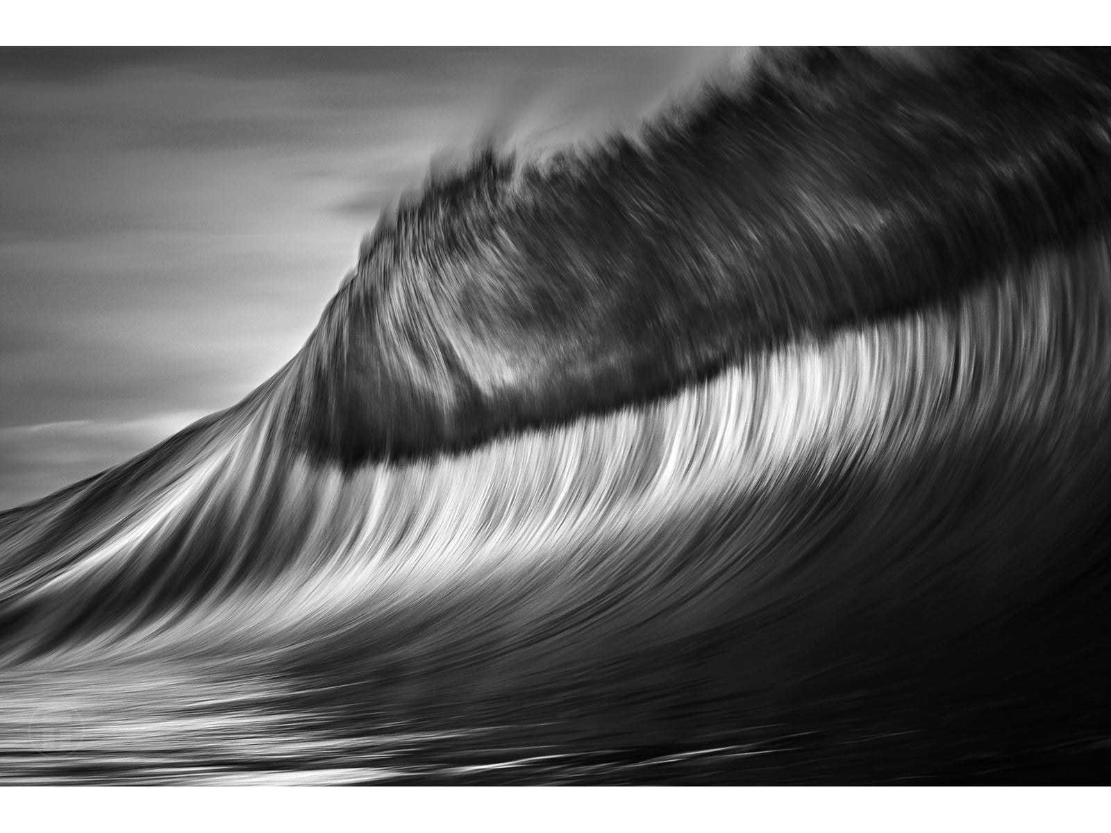 "Velvet" - Fine Art Print
