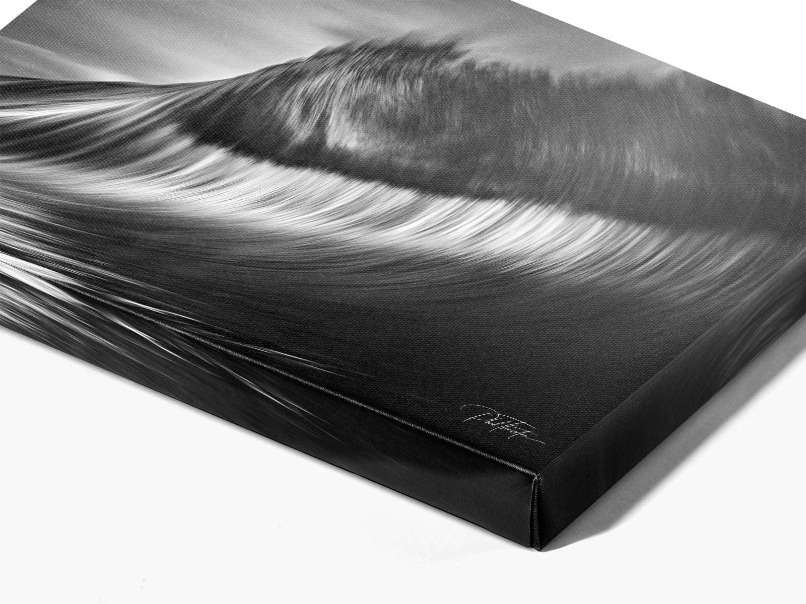 "Velvet" - Fine Art Print