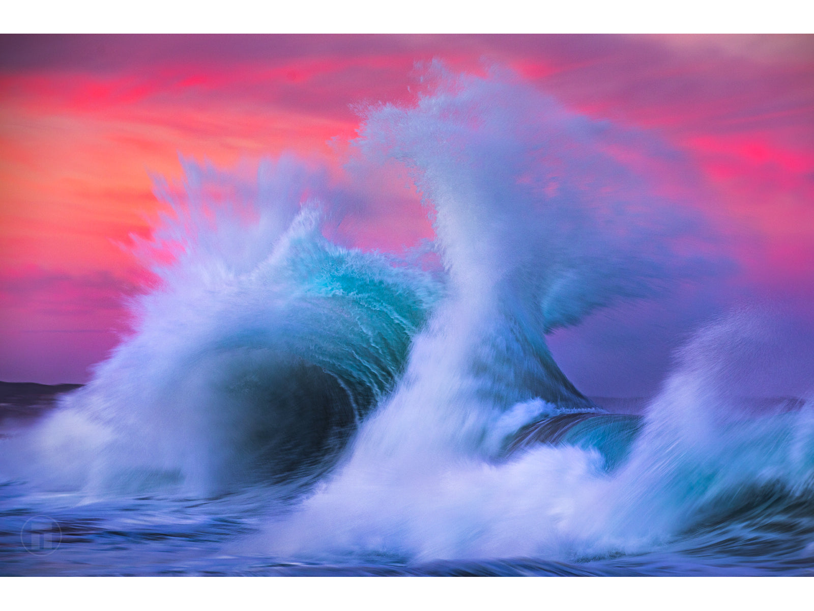 "Violet Praise" - Fine Art Print