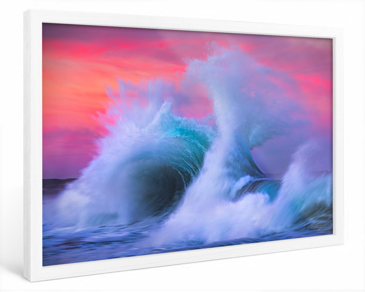 "Violet Praise" - Fine Art Print