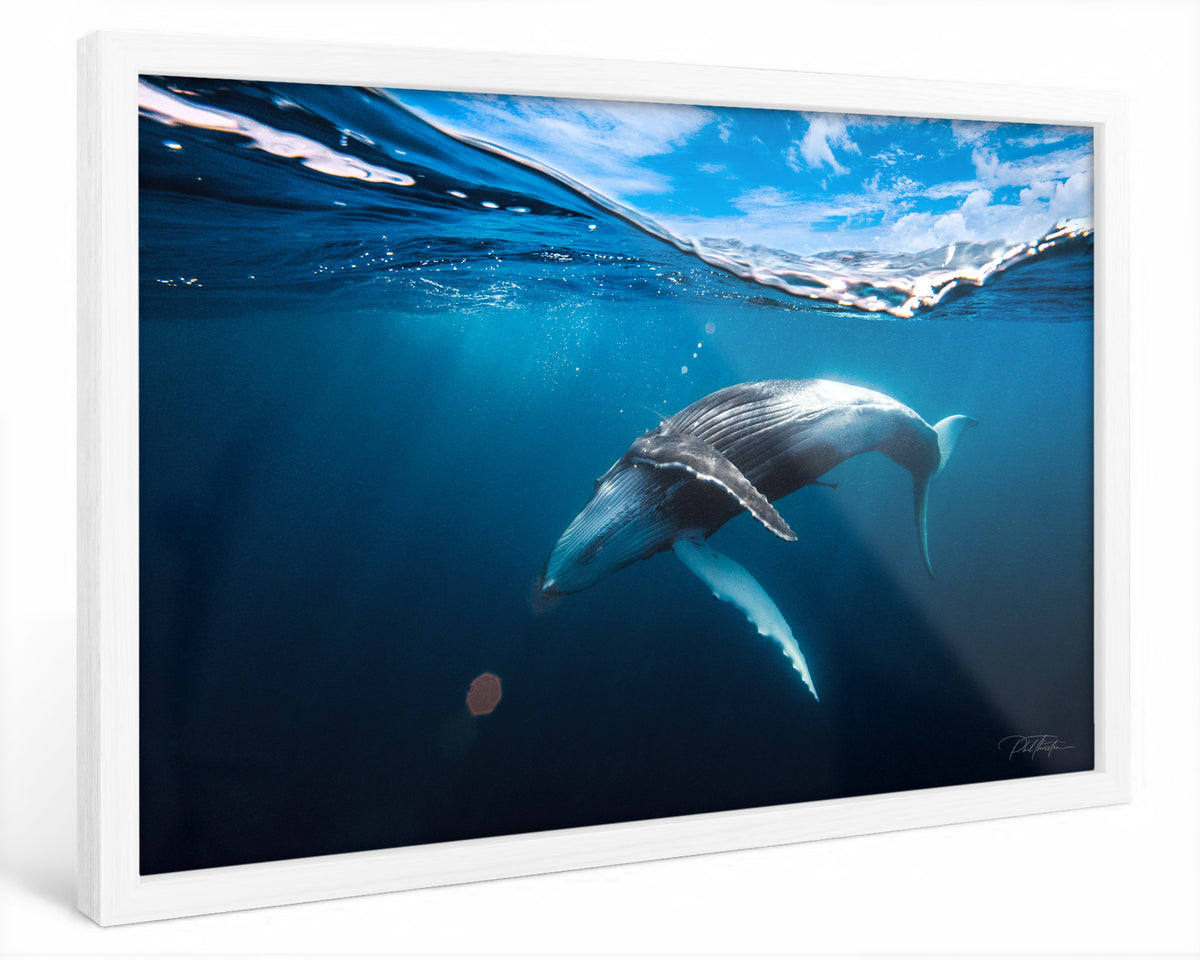 "A Magical Moment" - Fine Art Print