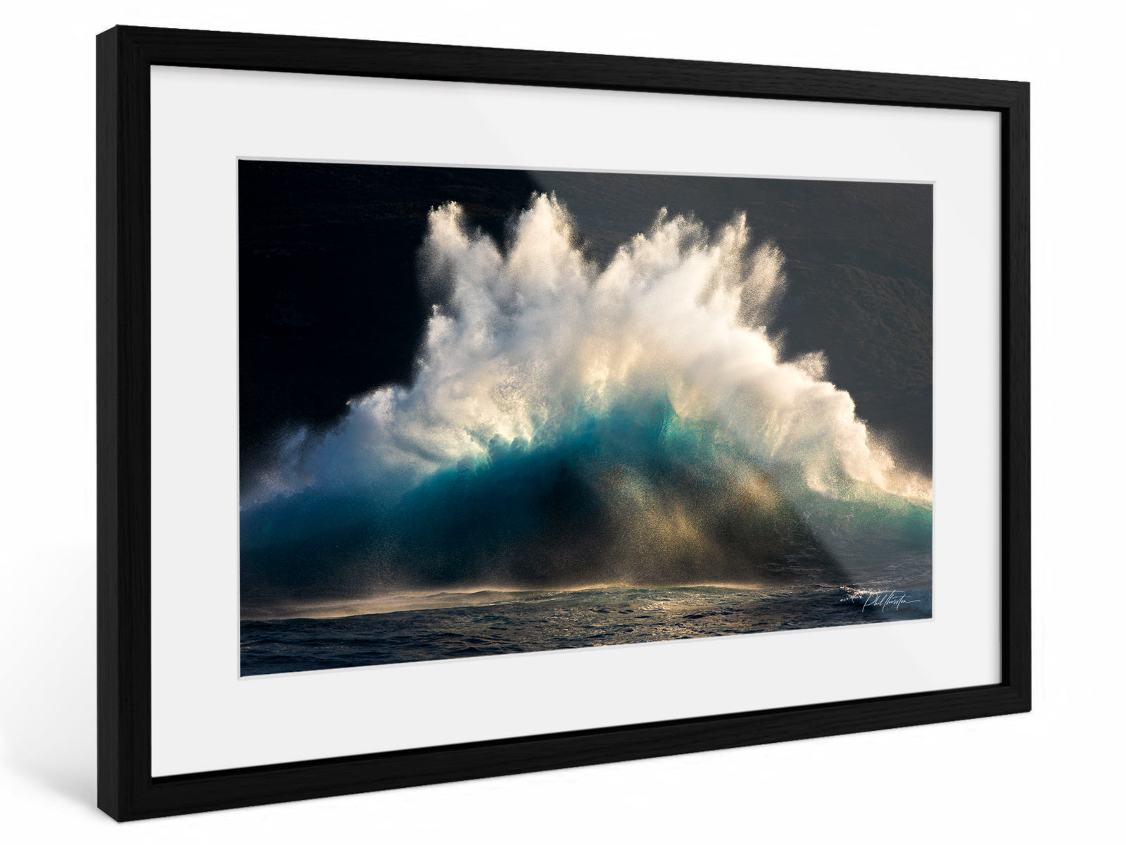 "Wisdom's Song" Fine Art Print