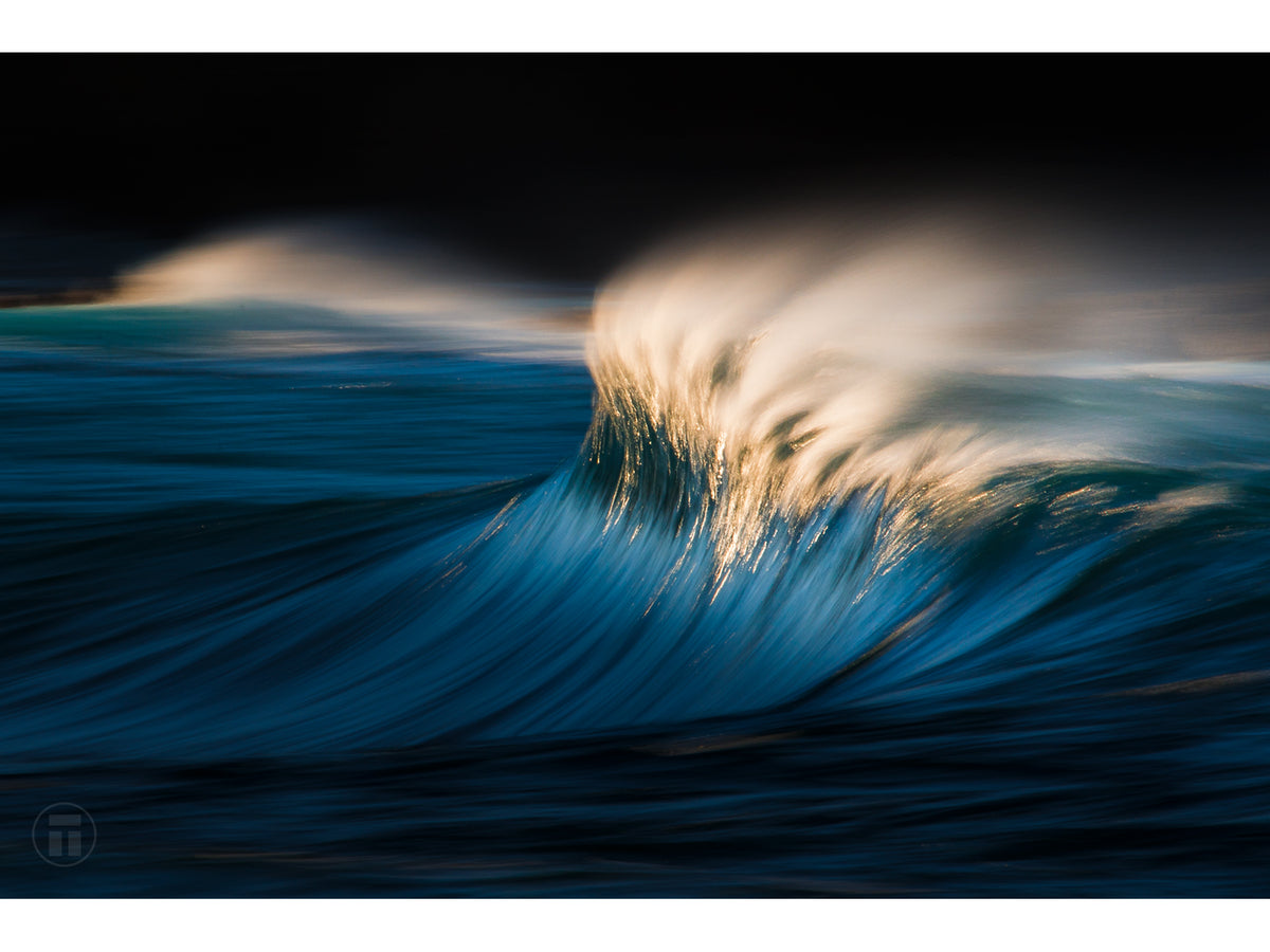 "Yield" - Fine Art Print