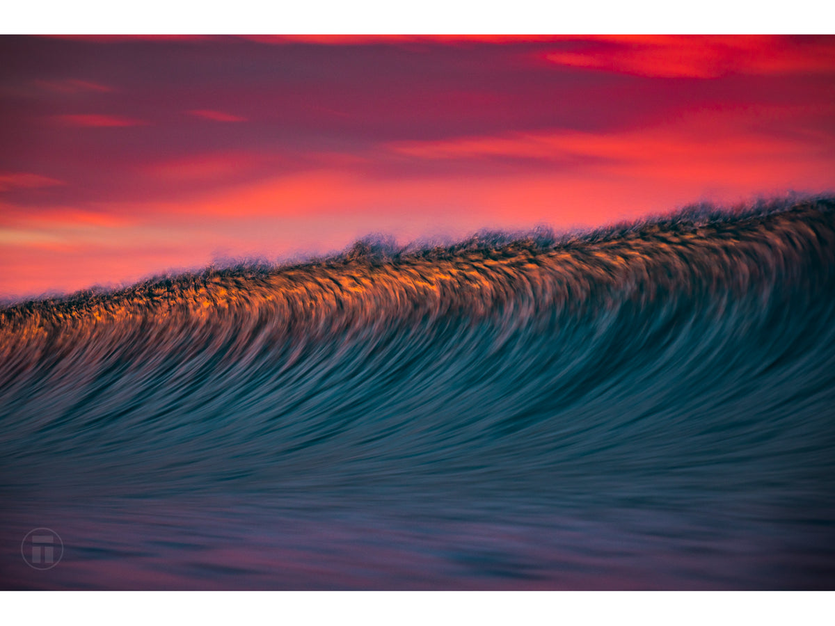 "Your Love is Fierce" - Fine Art Print