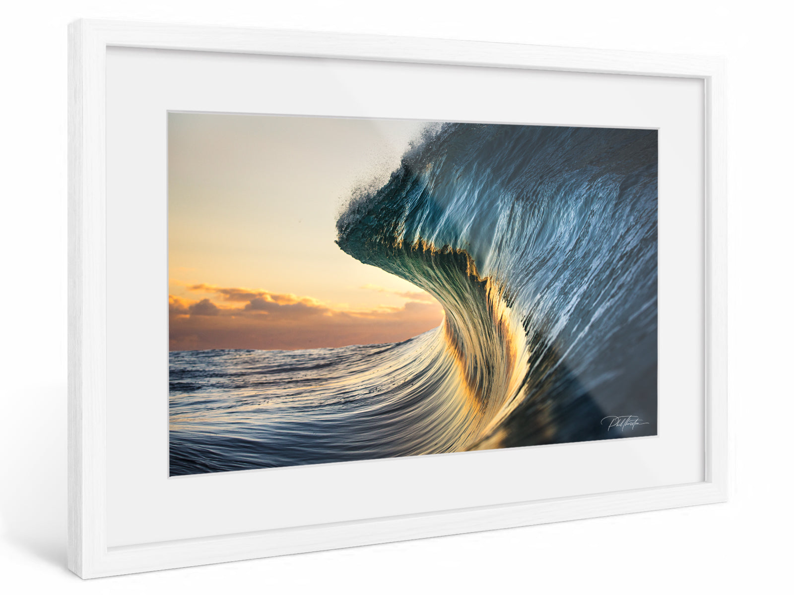 "Zest" -  Fine Art Print