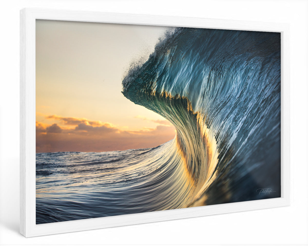 "Zest" - Fine Art Print BOGO