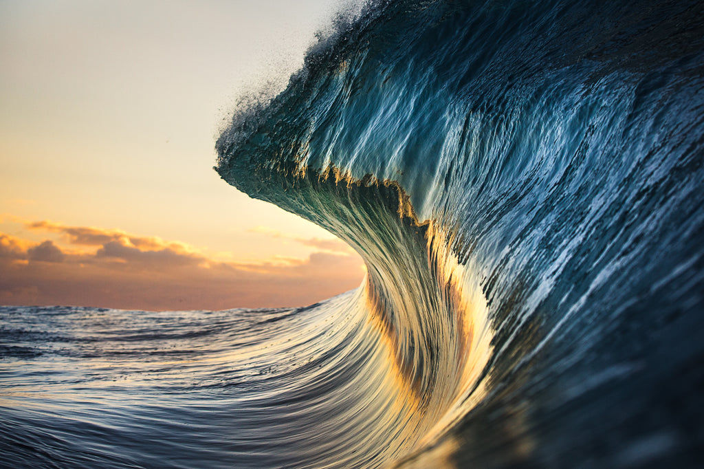 Zest_1024x.jpg?v=1698806374