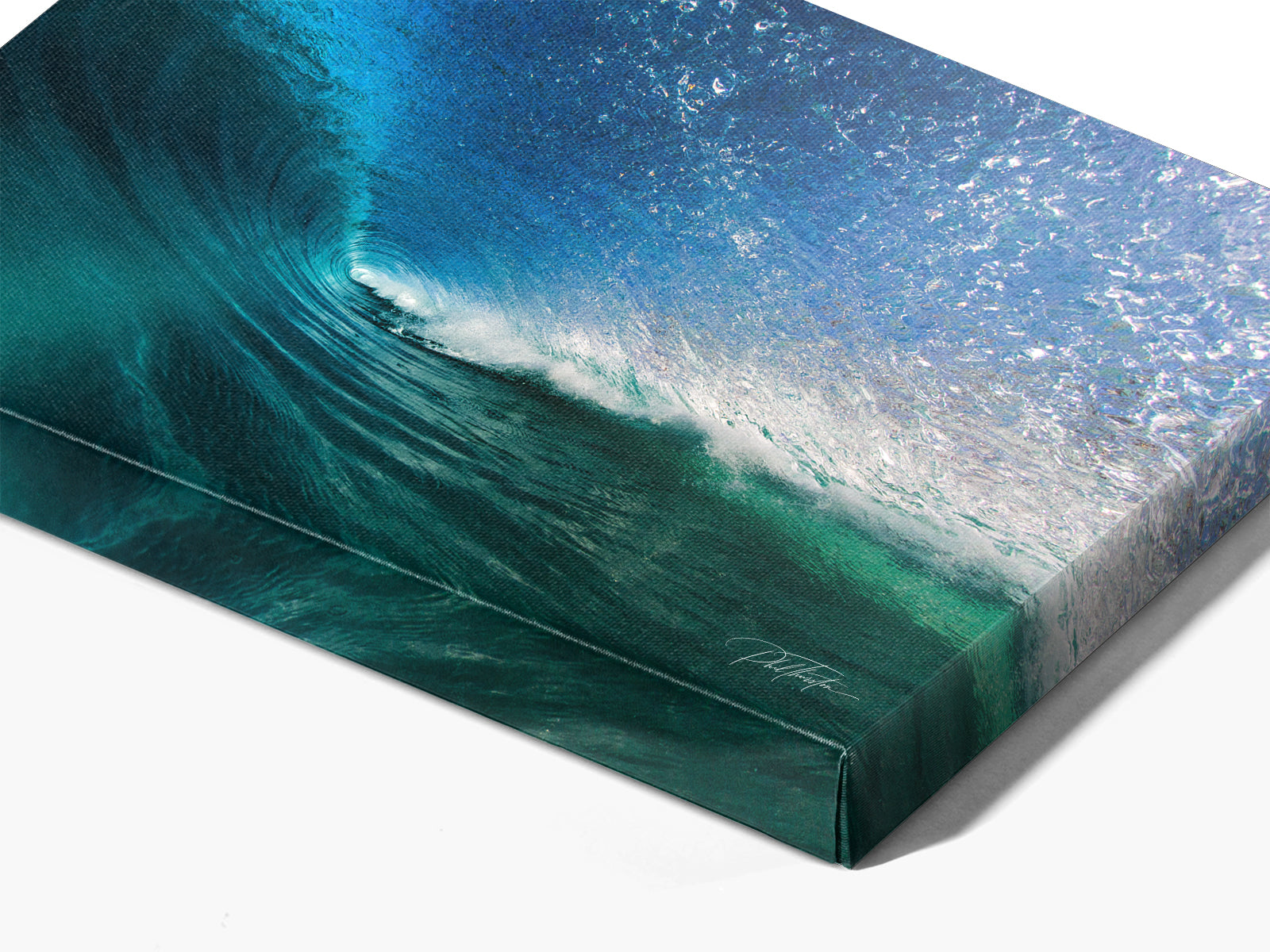 Within | The Ocean Collection
