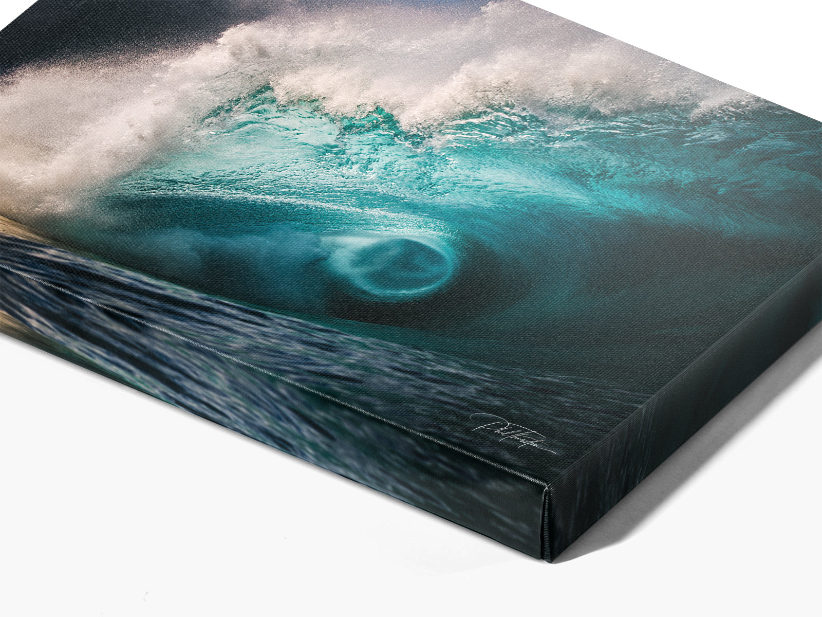 Colossal | The Ocean Collection