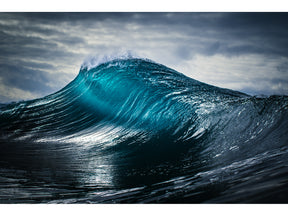 Scorpion | The Ocean Collection