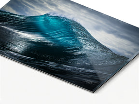 Scorpion | The Ocean Collection